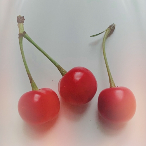 Cherry Image